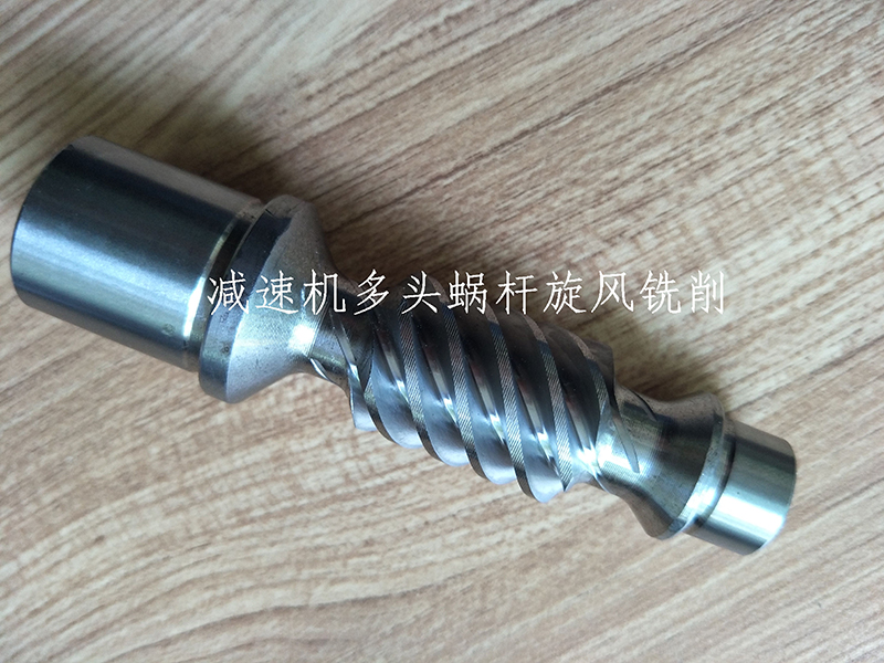 多頭減速機(jī)蝸桿